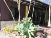 163 Rafting Ground Road, Agnes Water QLD 4677-Image