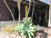 163 Rafting Ground Road, Agnes Water QLD 4677-Image