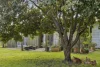 1630 Birregurra-Forrest Road, Barwon Downs, Vic 3243-Image