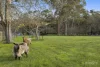 1630 Birregurra-Forrest Road, Barwon Downs, Vic 3243-Image