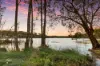 163A The Round Drive, Avoca Beach NSW 2251-Image
