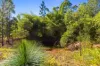 164 Arborfive Road, Glenwood, Qld 4570-Image