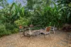 164 Dugandan Street, Nerang, Qld 4211-Image