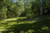 164 Dugandan Street, Nerang, Qld 4211-Image