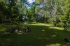 164 Dugandan Street, Nerang, Qld 4211-Image
