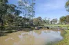 164 Emu Creek Road, Strathfieldsaye, Vic 3551-Image
