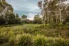 164 Freshwater Drive, Banksia Beach, Qld 4507-Image