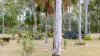 164 Innamincka Way, Agnes Water QLD 4677-Image