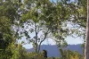 164 Kenmore Road, Fig Tree Pocket, Qld 4069-Image