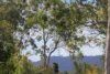 164 Kenmore Road, Fig Tree Pocket, Qld 4069-Image