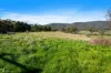 164 Main Street, Huonville, Tas 7109-Image