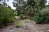 164 Virgo Road, Golden Heights, SA 5322-Image