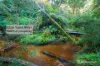 1647 Little Yarra Road, Powelltown, Vic 3797-Image