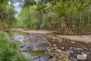 1649  Numinbah Road, Chillingham, NSW 2484-Image