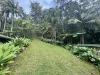 165 Araluen Road, Tallebudgera Valley, Qld 4228-Image