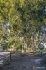 165 Bournbrook Avenue, Cardup, WA 6122-Image