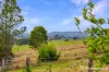 165 Lagoon Pocket Road, Lagoon Pocket, Qld 4570-Image