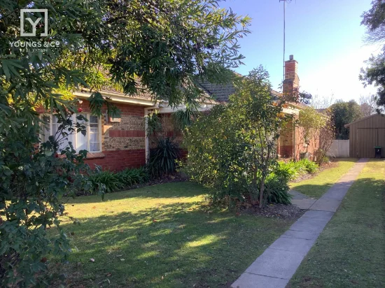 165 Nixon Street, Shepparton, Vic 3630
