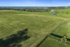 165 Wallaby Hill Road, Jamberoo, NSW 2533-Image