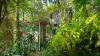 1650 Main Arm Road, Upper Main Arm, NSW 2482-Image