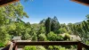 1650 Main Arm Road, Upper Main Arm, NSW 2482-Image