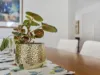 166 Bestmann Road E, Sandstone Point, Qld 4511-Image