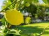 166 Bestmann Road E, Sandstone Point, Qld 4511-Image