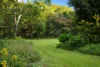 166 Mcgettigans Lane, Ewingsdale, NSW 2481-Image