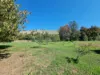 166 Punch Street, Gundagai, NSW 2722-Image