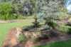 166 Tinpot Road, Woodchester, SA 5255-Image
