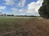 166 Tinpot Road, Woodchester, SA 5255-Image