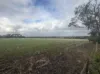 166 Tinpot Road, Woodchester, SA 5255-Image