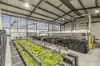 1662 - 1710 Bellarine Highway, Marcus Hill, Vic 3222-Image