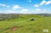 1662 Millaa Millaa - Malanda Road, Jaggan, Qld 4885-Image