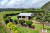 1662 Millaa Millaa - Malanda Road, Jaggan, Qld 4885-Image