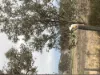 167 Allens Road, Peak Crossing, Qld 4306-Image