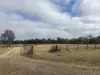 167 Allens Road, Peak Crossing, Qld 4306-Image