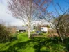 167 Dexter Street, Westbury, Tas 7303-Image