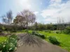 167 Dexter Street, Westbury, Tas 7303-Image