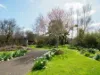 167 Dexter Street, Westbury, Tas 7303-Image