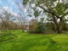 167 Dexter Street, Westbury, Tas 7303-Image