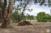167 Haddon School Road, Haddon, Vic 3351-Image