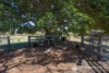 167 Kalbar Connection Road, Kalbar, Qld 4309-Image