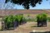 167 Kalbar Connection Road, Kalbar, Qld 4309-Image