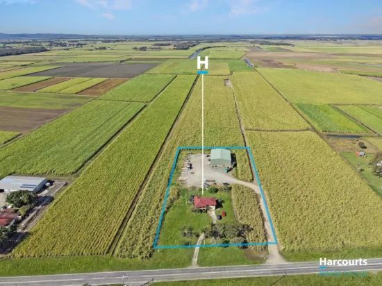 167 Norwell Road, Norwell, Qld 4208