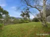 167 Springfield Avenue, West Moonah, Tas 7009-Image
