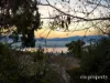 167 Springfield Avenue, West Moonah, Tas 7009-Image