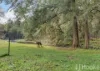 167 Upper Turon Road, Sofala, NSW 2795-Image