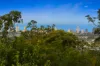 168 Barden Ridge Road, Reedy Creek, Qld 4227-Image