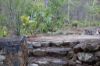 168 Josefski Road, Agnes Water QLD 4677-Image